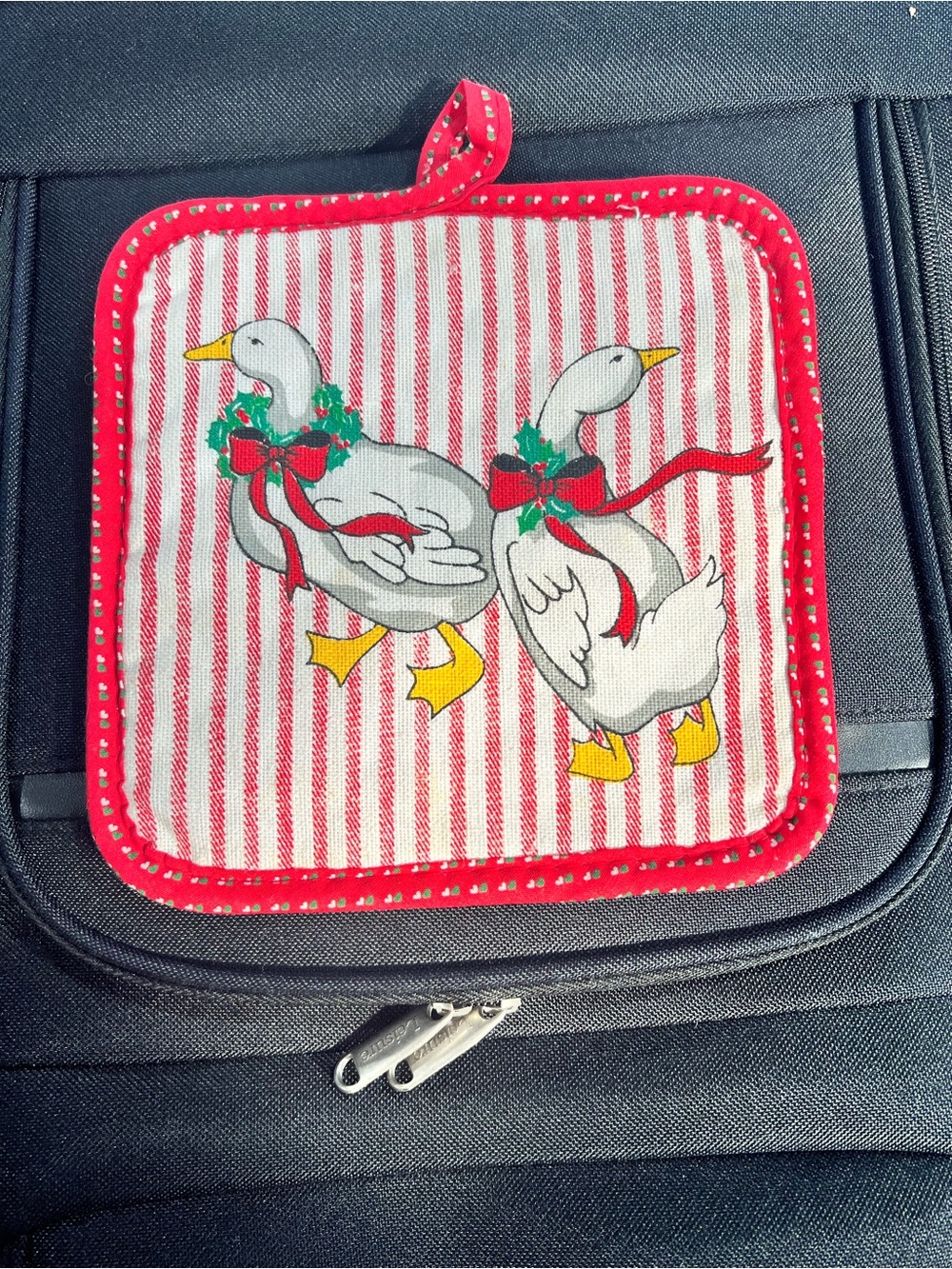Festive Duck/Goose Print Quilted Pot Holder - Red & White